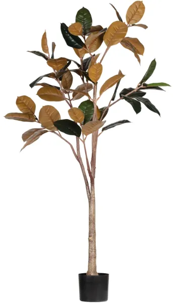 Rubber, Kunstig plante, grønn, H170x106x63 cm